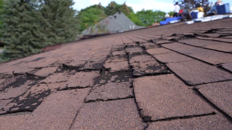 Best Wood Shake Roofing  in White Pine, TN